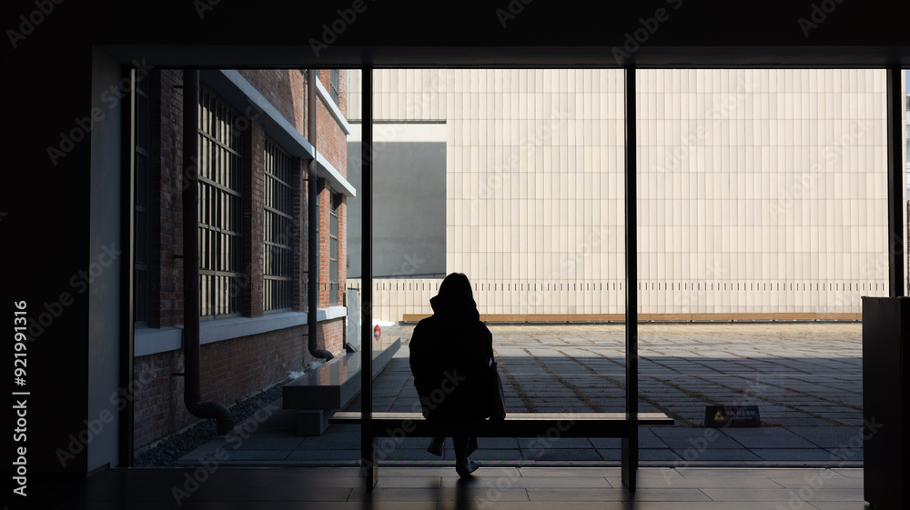 silhouette of a person in the window silhouette of a person in the window