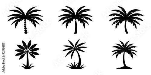 Palm tree logo icons set silhouette vector style illustration