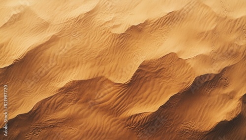 Desert landscape with rippled sand dunes under golden sunlight in the late afternoon