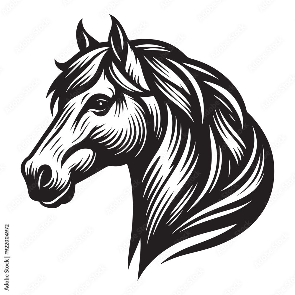 Line art of horse head cartoon vector Line art of horse head cartoon vector