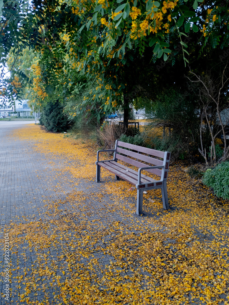 Fototapeta premium Banco debajo de una acacia rodeado de flores