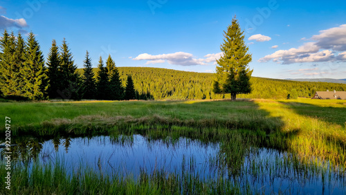 Lagoon and meadows around in the Jizerka settlement in Jizera Mountains, Czečch Republic