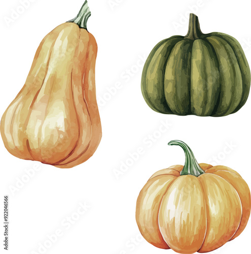 Vector Watercolor farm, composition clipart, set, pumpkin, rural, country live, harvest, illustrations for farm set, invitation, greeting cards, birthday, event, holiday, printable