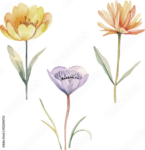 Vector Watercolor flowers, garden flowers, set, clipart. Illustrations for creative cooking, invitation, greeting cards, birthday, event, holiday, menu; cooking class; Master Class