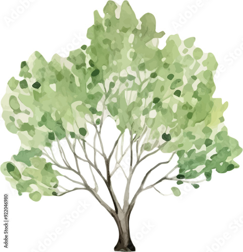 Vector Watercolor tree, landscape, pear tree, green tree, garden tree, illustrations for invitation, greeting cards, birthday, event, holiday, postcard, printable