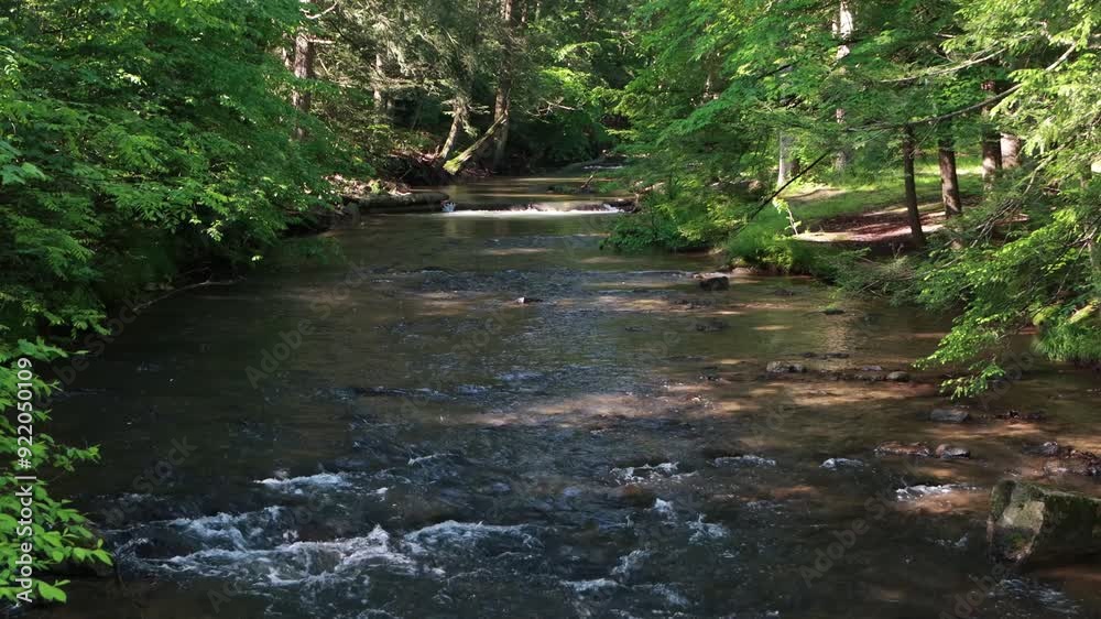 Mountain Stream Nature Environment Mountain Stream Nature Environment