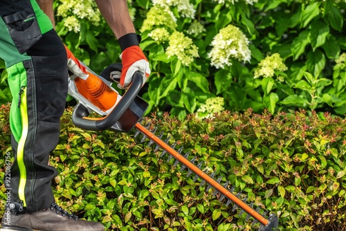 Gardener Trimming Hedges With Electric Pruner in a Lush Garden