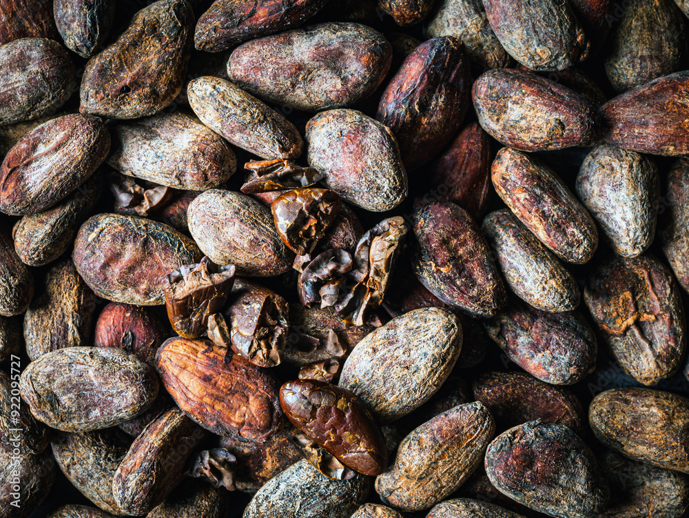 Cocoa beans background, close-up of cocoa bean, dried broken cocoa beans Cocoa beans background, close-up of cocoa bean, dried broken cocoa beans