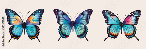 Butterflies vector illustration. Swallowtail butterfly collection in watercolor graphic style.