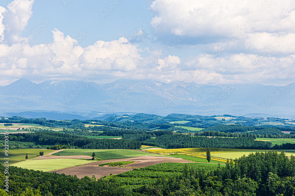 Obraz premium 田園風景
