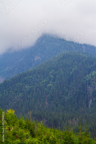 Beautiful mountain landscape with clouds and fog. 