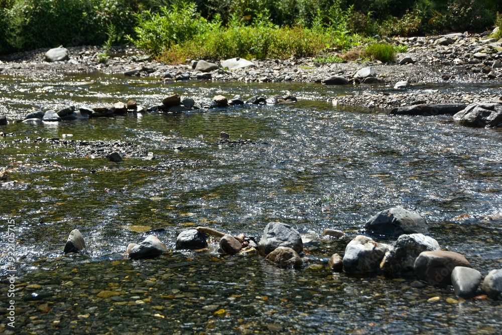 Obraz premium 澄んだ透明な川の水