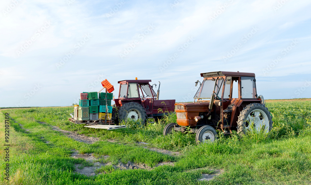 Two old tractors are in a field with many empty boxes for harvesting. Agriculture in Italy Two old tractors are in a field with many empty boxes for harvesting. Agriculture in Italy