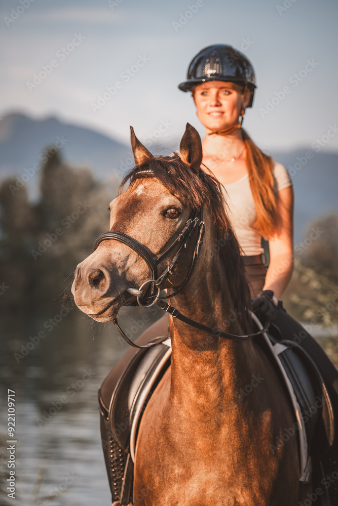 Obraz premium Reitpony