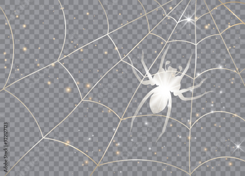 Spider on a web. Isolated on transparent background. Vector illustration. Graphic concept for your design