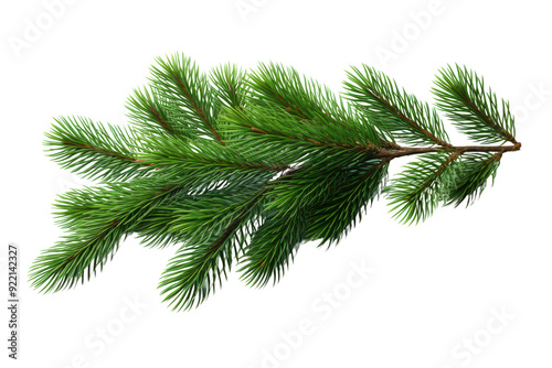 Detailed close-up of a green pine branch with needles isolated on white background, perfect for seasonal and nature-themed projects.