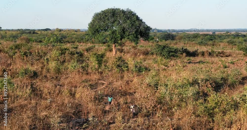 Zambia children running through dry, grassy field in Africa - drone shot Zambia children running through dry, grassy field in Africa - drone shot