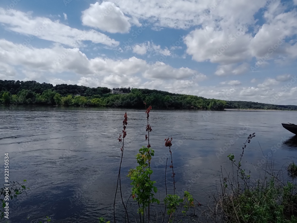 Fototapeta premium Bords de Loire à Gennes-Val-de-Loire, Maine et Loire, Centre Val de Loire, France