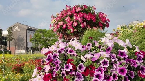 Wallpaper Mural 서울 송현열린공원 Torontodigital.ca