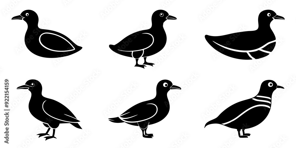Set of Auklet icons silhouette vector art style illustration
Set of Auklet icons silhouette vector art style illustration