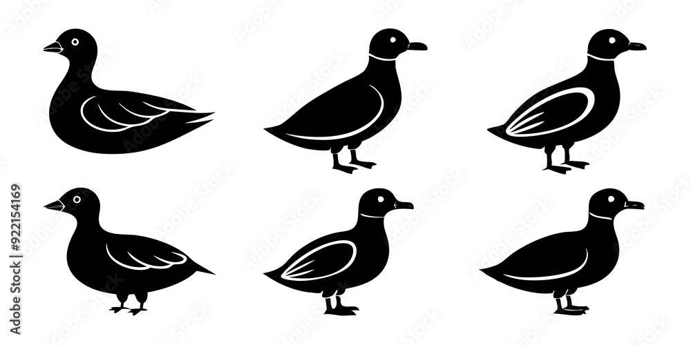Set of Auklet icons silhouette vector art style illustration
Set of Auklet icons silhouette vector art style illustration