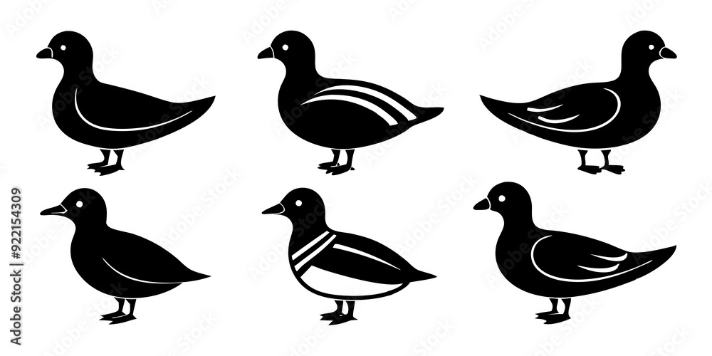 Set of Auklet icons silhouette vector art style illustration
