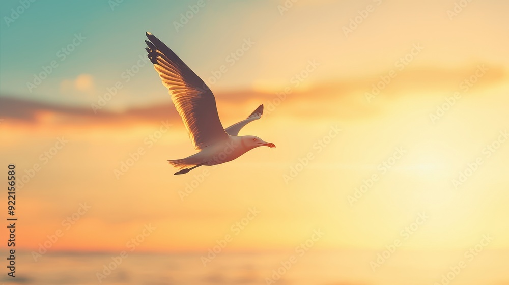 Fototapeta premium bird flying gracefully in the sunset, capturing the tranquil beauty of nature and freedom against a colorful sky.