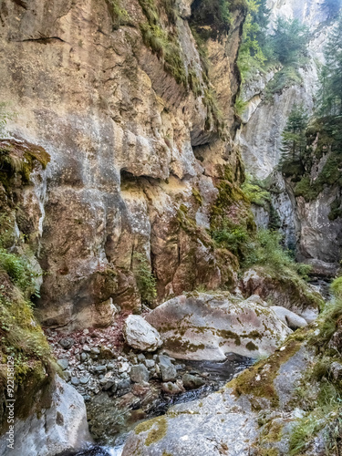 Image from Cheile Butii gorge, near Campu lui Neag, Hunedoara,  Romania photo