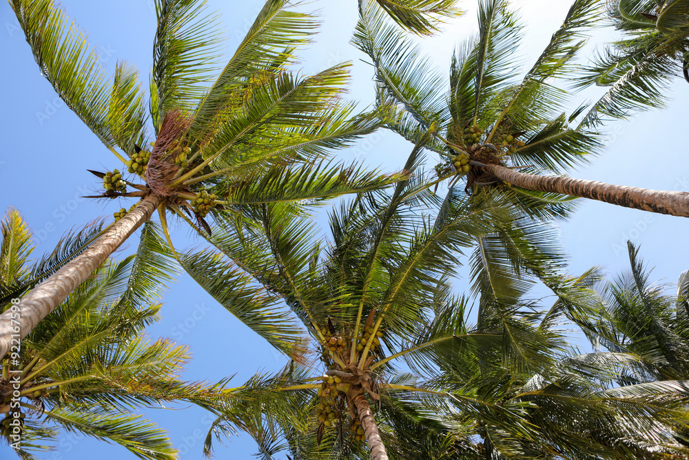 Fototapeta premium Kenya Africa