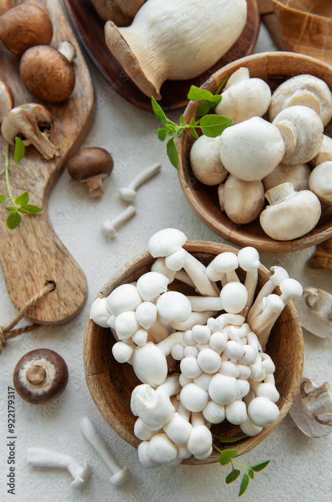 Assortment of various raw mushrooms on gray concrete background. Assortment of various raw mushrooms on gray concrete background.