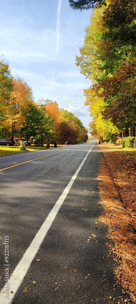 Obraz premium road in autumn