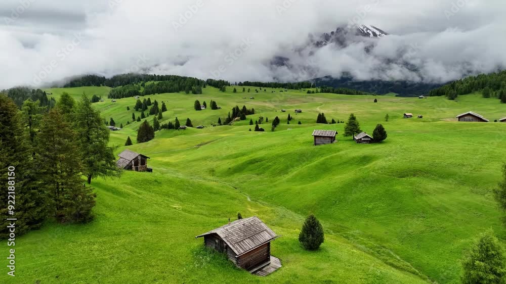 Aerial view of Alpe di Siusi with Sassolungo, Dolomites, Italy
