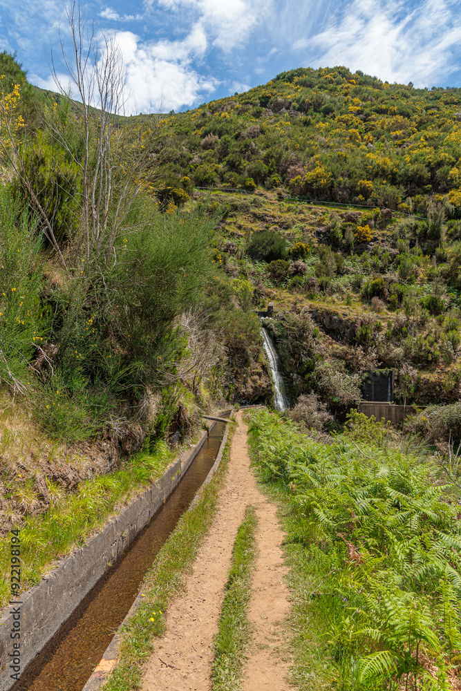 Vegetation and water distribution in the Levada 25 Fontes area of Madeira Island