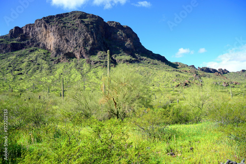 Sonora Desert Arizona Picacho Peak State Park photo