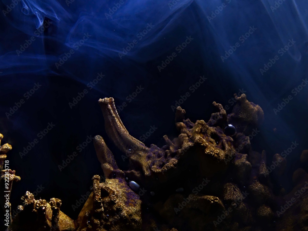 Fototapeta premium Rochefort - Visit the magnificent city of Rochefort on France's Atlantic coast