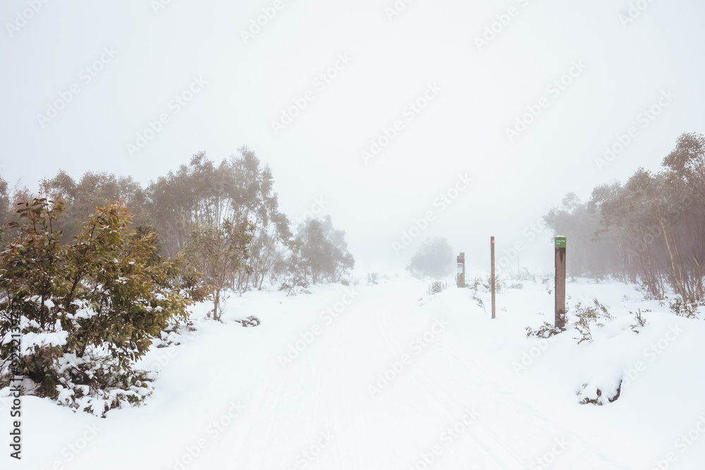 Family Snowshoeing and snow landscape at Lake Mountain Australia Family Snowshoeing and snow landscape at Lake Mountain Australia
