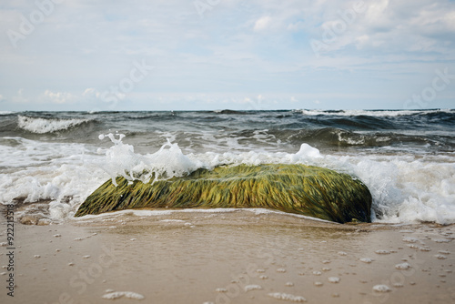 Seaweed-Covered Rock on Sandy Beach as Waves Crash in the Background under a Cloudy Sky on the danish island of Bornholm