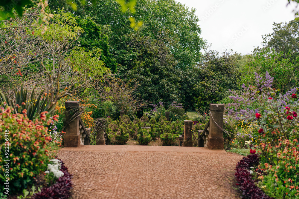 colorful phlox, cosmea flowers on a flower bed on a sunny day.Floral Wallpaper.park arrangement of a colorful flowers.Bright summer.Floriculture concept