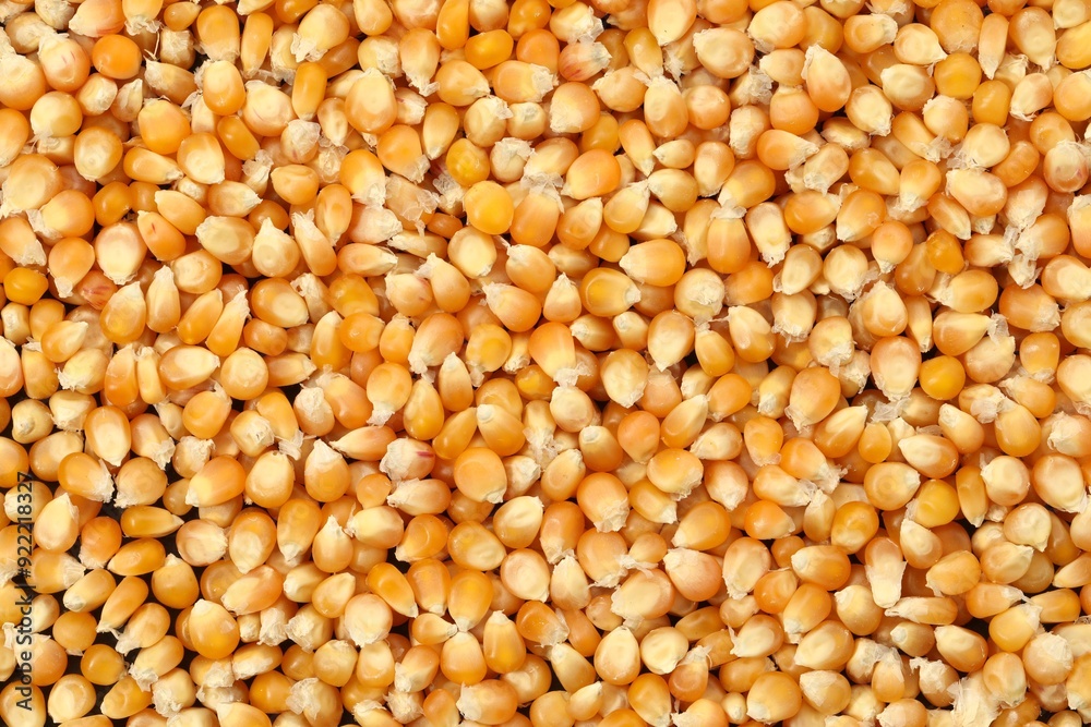 Fresh corn kernels as background, top view Fresh corn kernels as background, top view