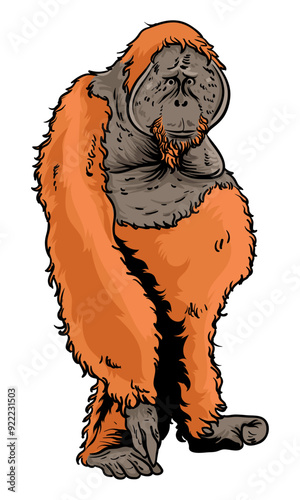 orangutan with white background separate