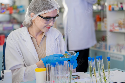 female scientist Experimenting through tubes of chemical liquids and plant samples. In a laboratory with test samples in the background in a modern laboratory By testing safely and cleanly.