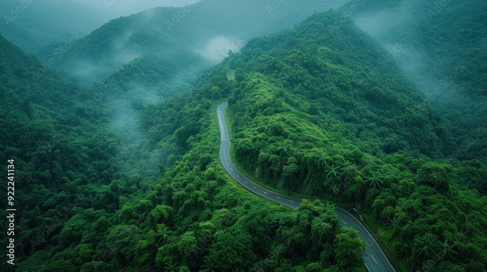 Bird's eye view of a forest on a mountain with a winding road, expansive green foliage, early morning, highly realistic, soft diffused lighting. Bird's eye view of a forest on a mountain with a winding road, expansive green foliage, early morning, highly realistic, soft diffused lighting.