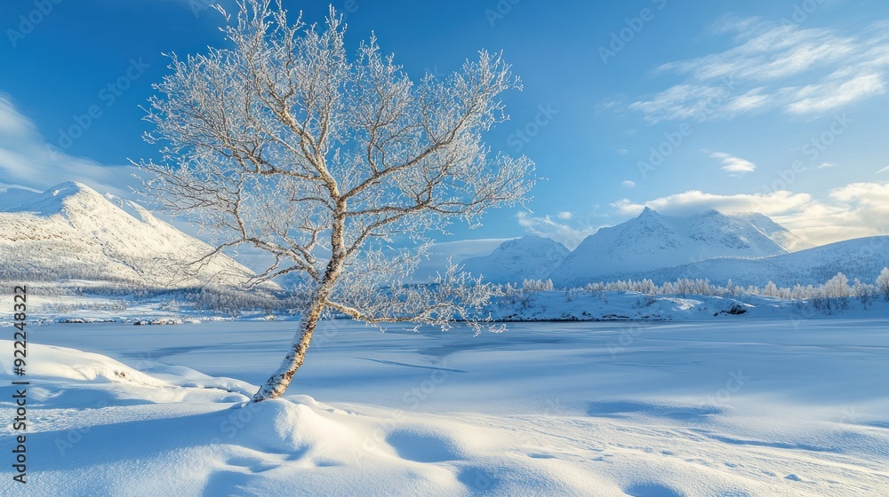 Snowy Mountain Landscape with a Frosty Tree Snowy Mountain Landscape with a Frosty Tree