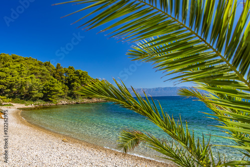 Fototapeta Naklejka Na Ścianę i Meble -  Wild rocky beach with palm trees on the Adriatic Sea on the Peljesac Peninsula Luka Beach