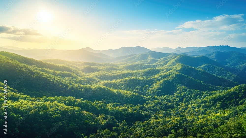 Naklejka premium Panoramic top view of rolling mountains with dense forests, clear sky area for copy space