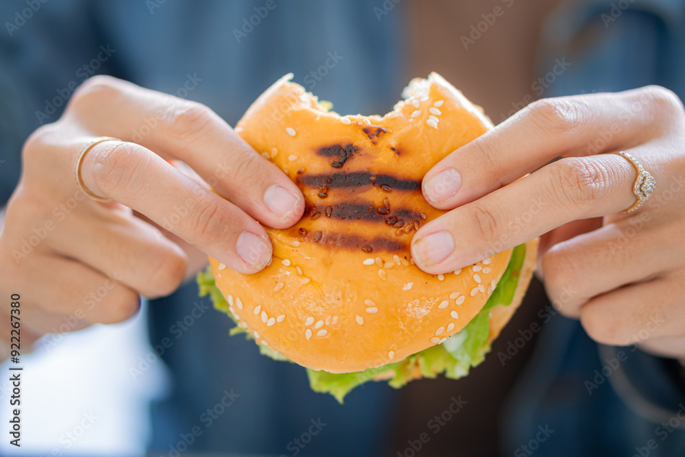 Crispy Chicken Burger with Lettuce and Mayonnaise Crispy Chicken Burger with Lettuce and Mayonnaise