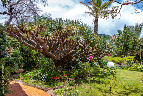 Obraz na płótnie Quinta Splendida Botanical Garden on the island of Madeira w salonie