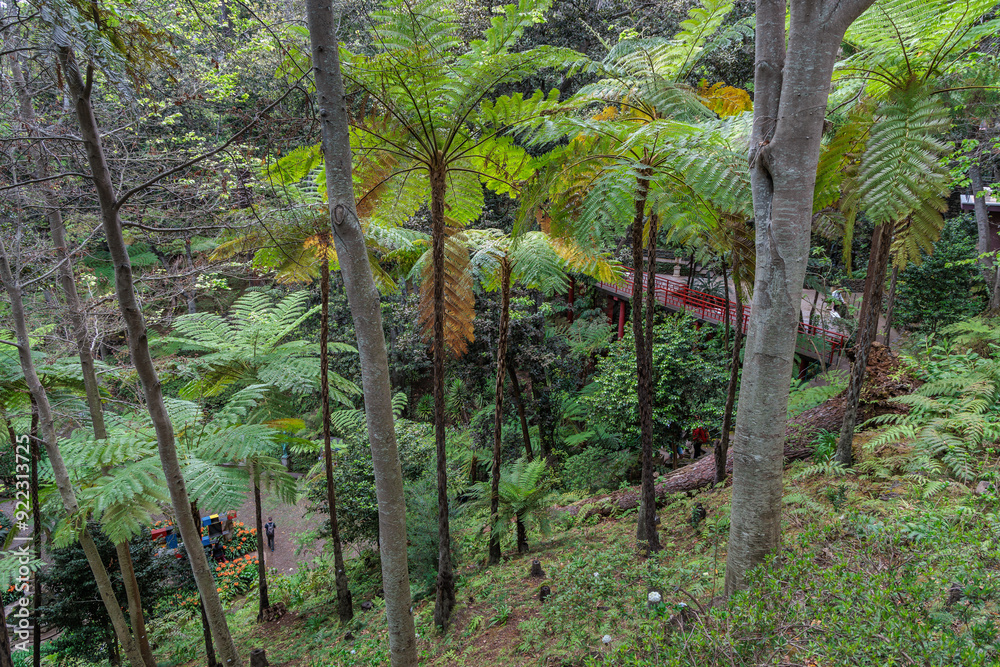 Walk around the Monte Palace Tropical Garden on the island of Madeira