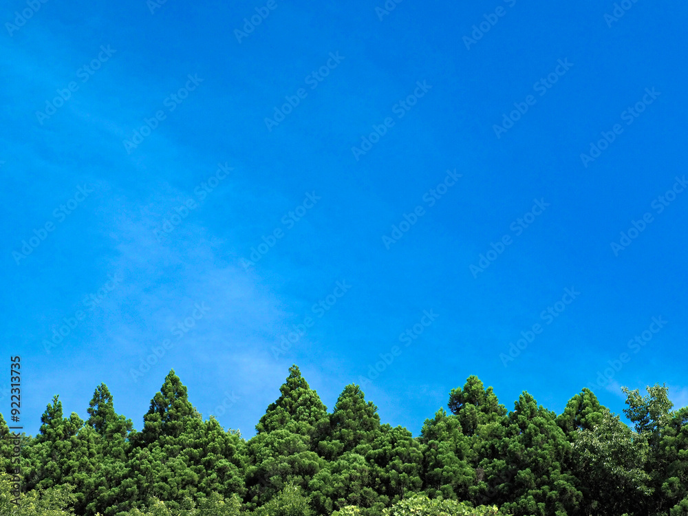 青空と夏の木々 青空と夏の木々