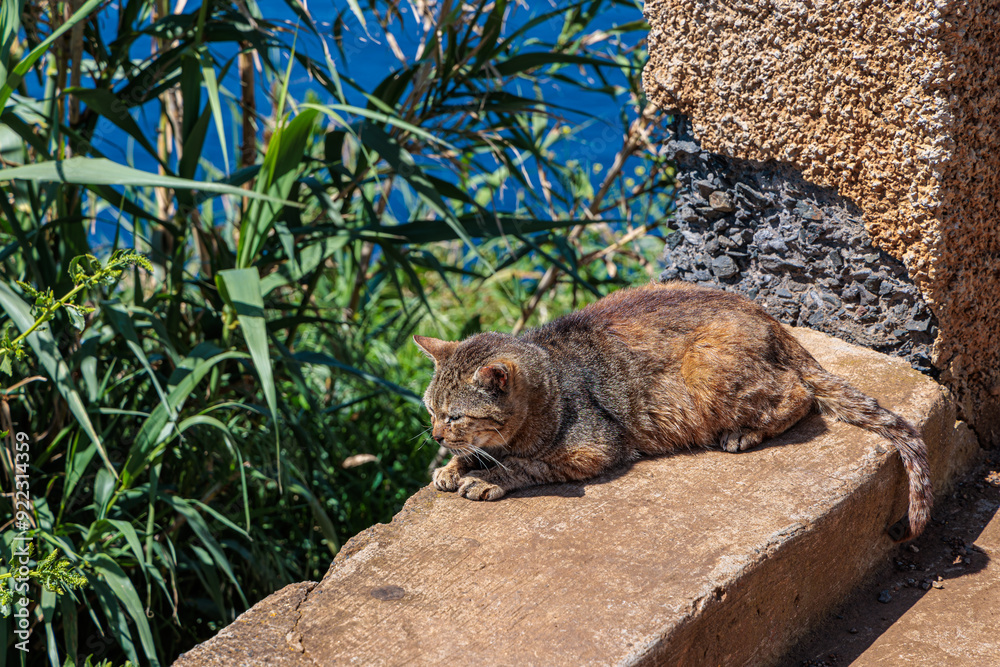 Nooks and crannies at Ponta do Pargo on the island of Madeira